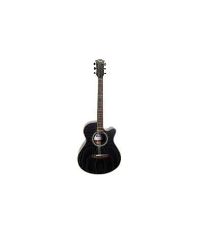 Chitare si bass - Flame FK420 Bk