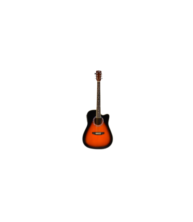 Chitare si bass - Flame Pro D120CE VS