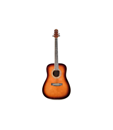 Chitare si bass - Flame Pro DC 20E SDB