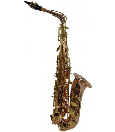 Magazin - Flame Pro SP-1011 RG