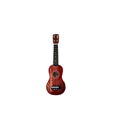 Instrumente traditionale - Flame UK 09