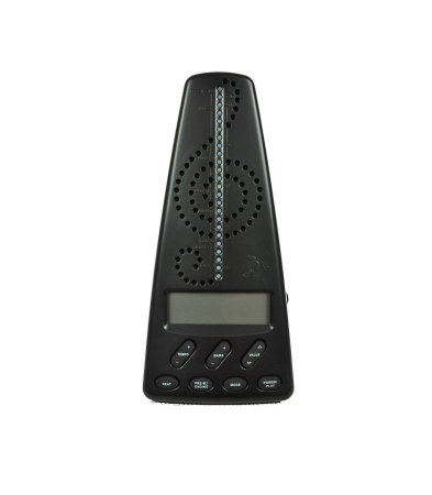 Chitare si bass - Flame WMT 220