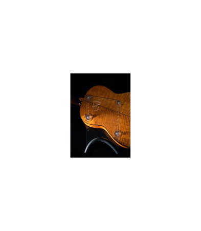 Chitare si bass - GuitarLift Professional Line - Medium Transparent