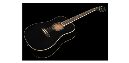 Chitara acustica Harley Benton D-120BK [2]