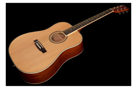 Chitara acustica Harley Benton D-120NT [3]