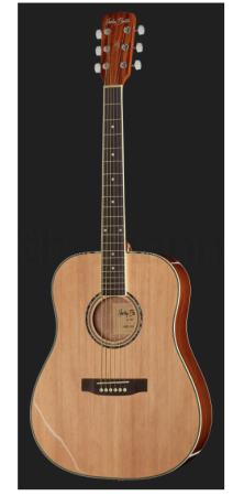 Chitara acustica Harley Benton D-120NT [1]