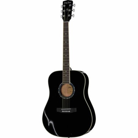 Magazin - Harley Benton D-120BK