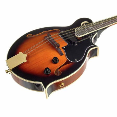 Harley Benton HBMA-100E- VS [3]