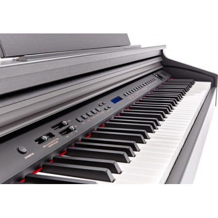 Hemingway DP-501 MKII RW [2]