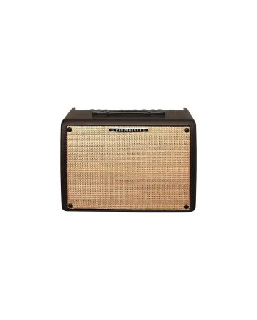 Magazin - Ibanez T30II-U Troubadour - Amplificator Chitara Acustica