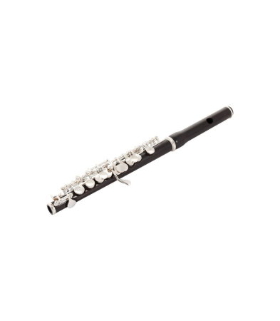 Magazin - Jupiter JPC1100E
