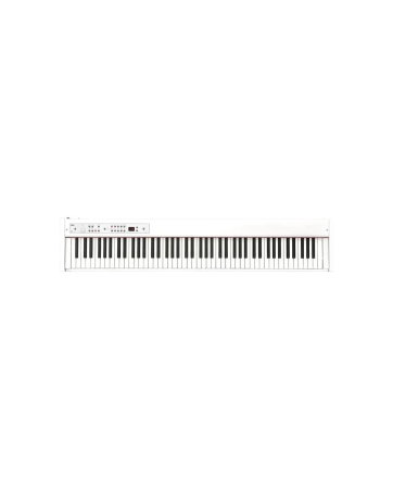 Magazin - Korg D1 White - Pian Digital