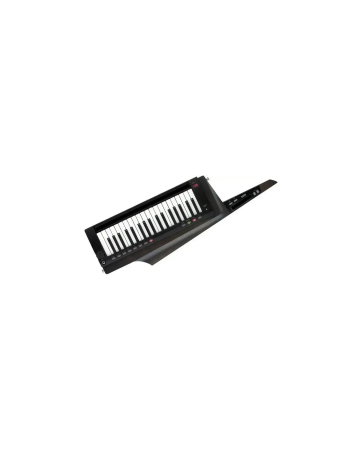 Magazin - Korg RK-100S 2 Black - Keytar