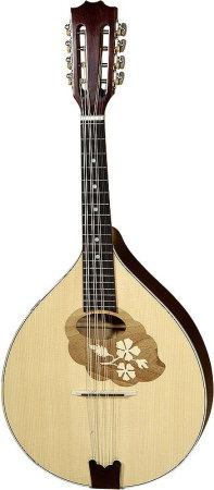 Magazin - Mandola RG2 - Hora Reghin