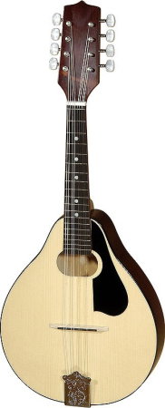 Magazin - Mandolină Modern - Hora Reghin