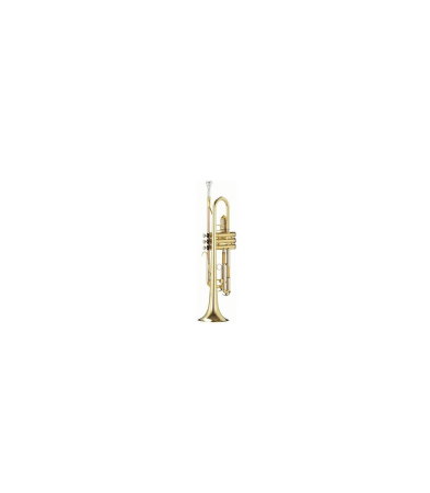 Magazin - Parrot 6416 L