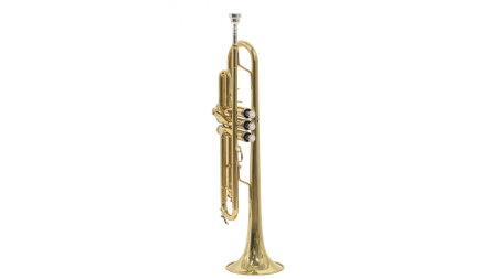 Magazin - Parrot 6416L-1