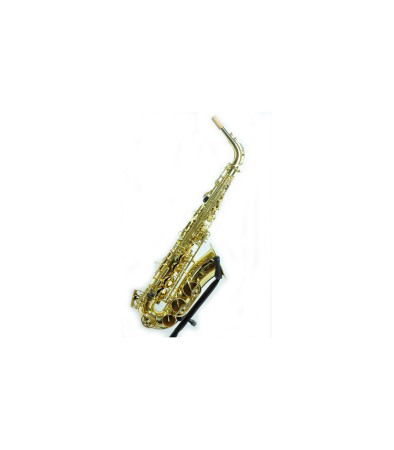 Orchestra - Saxofon Alto Parrot 6430L Set
