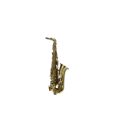Saxofoane - Parrot RT8331
