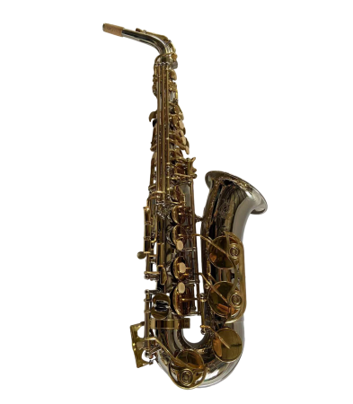 Saxofoane Alto - Parrot TY820 Reverse Two-Tone Sax Alto