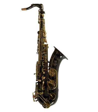 Magazin - Parrot TZ913 Bk Nickel Double Gold Key Sax Tenor