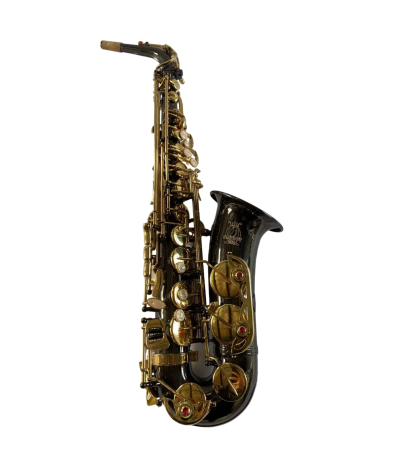 Instrumente de suflat - Parrot WFG375 Bk Nickel Gold Two-Tone Sax Alto