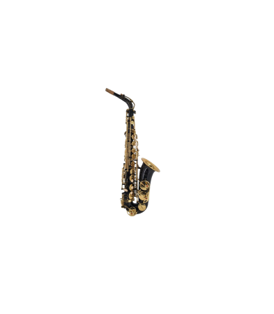 Saxofoane Alto - Parrot ZL 200 Alto Sax