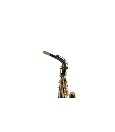 Magazin - Parrot ZL 200 Alto Sax