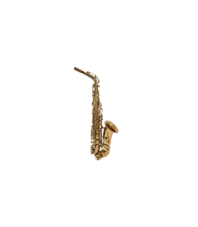 Saxofoane Alto - Parrot ZL118 Alto Sax Laquer