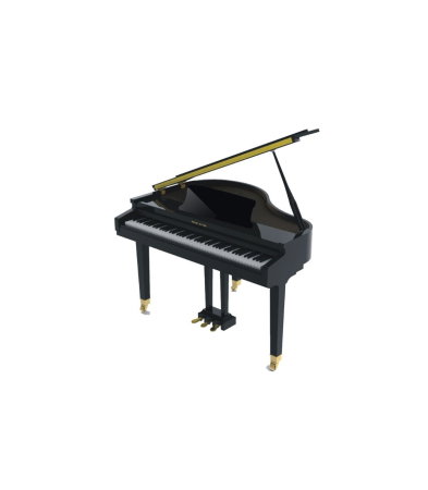 Magazin - Pearl River GP1100 BK