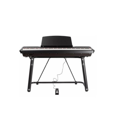 Magazin - Pearl River P200 + 1 Pedal + U Stand BK