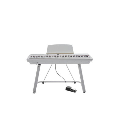 Magazin - Pearl River P200 + 1 Pedal + U Stand WH