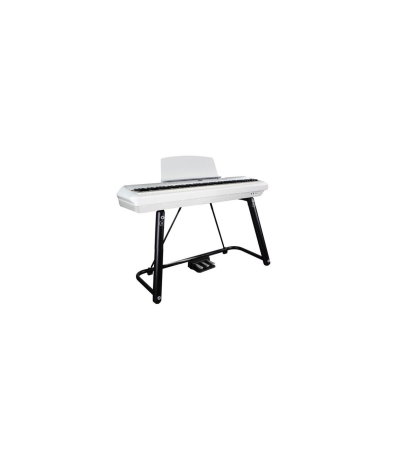 Magazin - Pearl River P200 U-Stand WH
