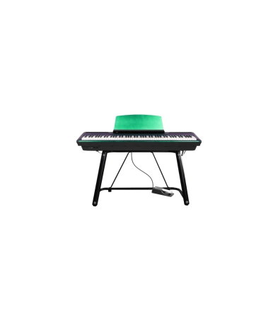 Magazin - Pearl River P200 VD01 Green + 1 Pedal + U Stand