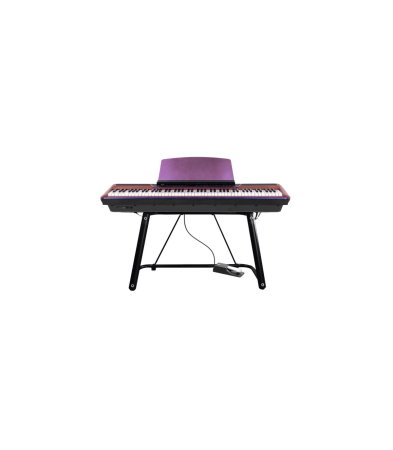 Magazin - Pearl River P200 VD02 Purple + 1 Pedal + U Stand