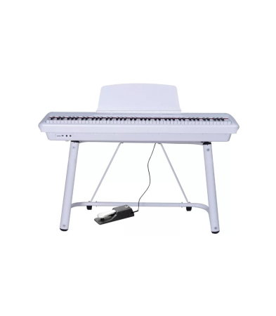 Magazin - Pearl River P60 + 1 Pedal + U Stand WH