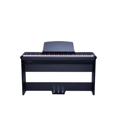 Magazin - Pearl River P60 + 3 Pedal + W Stand BK
