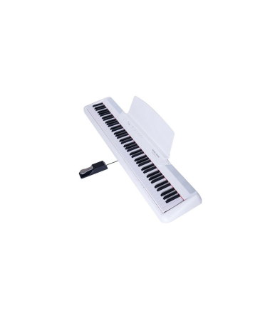 Magazin - Pearl River P60 WH
