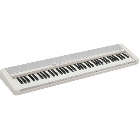 Piane Digitale - Pian digital portabil Casio CT-S1 76 WE