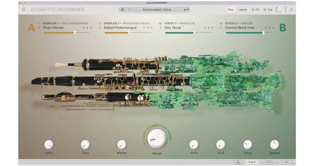 Software audio - Plugin instrument Arturia Augmented WOODWINDS