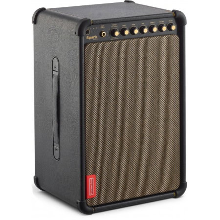 Amplificatoare de chitara electrica - Positive Grid Spark LIVE
