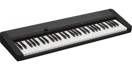 Orga - Clape aranjoare si workstation - Claviatură portabilă Casio CT-S1 BK Set