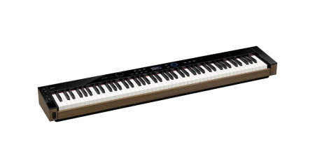 Piane Digitale - Pian digital de scenă Casio PX-S6000