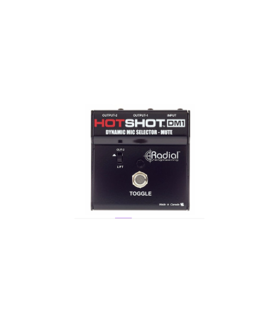 Magazin - Radial Engineering HotShot DM1