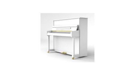 Claviaturi - Ritmuller RS118 A112