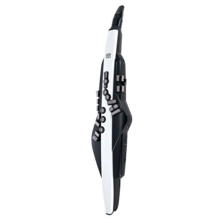 Magazin - Roland Aerophone AE-20