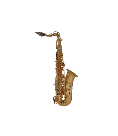 Magazin - Roy Benson AS-201 Sax Alto