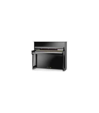 Magazin - Schimmel F123 Tradition Bk