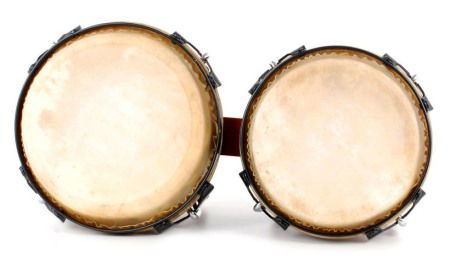 Set Bongos Millenium MB202HWR [1]