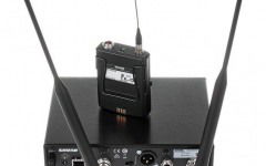 Shure QLXD14 / 98H [1]